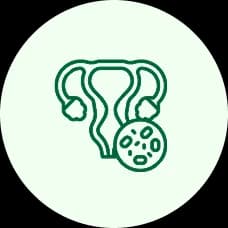 Yeast Infection