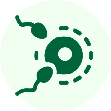 Fertility