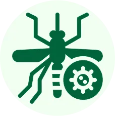 Malaria