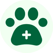 Veterinary